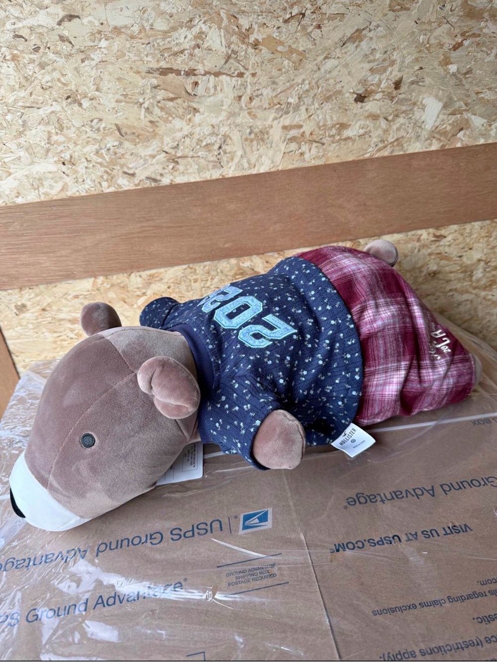 Hollister Weighted Bear With 2 Piece Outfit